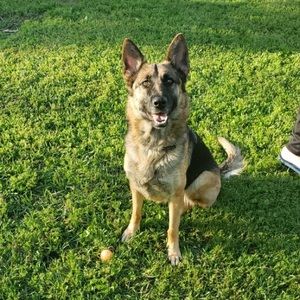 Meet your Posher, Alisshia